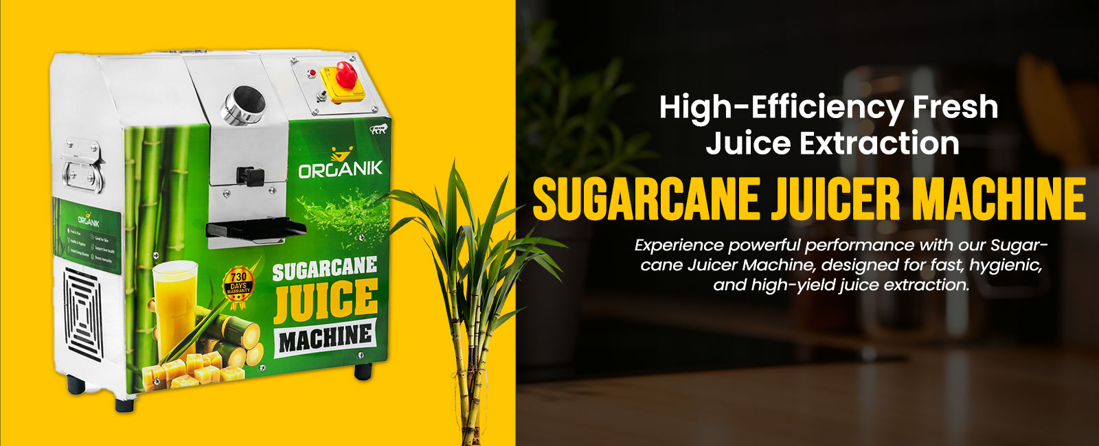 suger-cane-machine